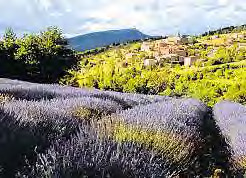 Bezaubernde Landschaft an der Rhône. Bezaubernde Landschaft an der Rhône.