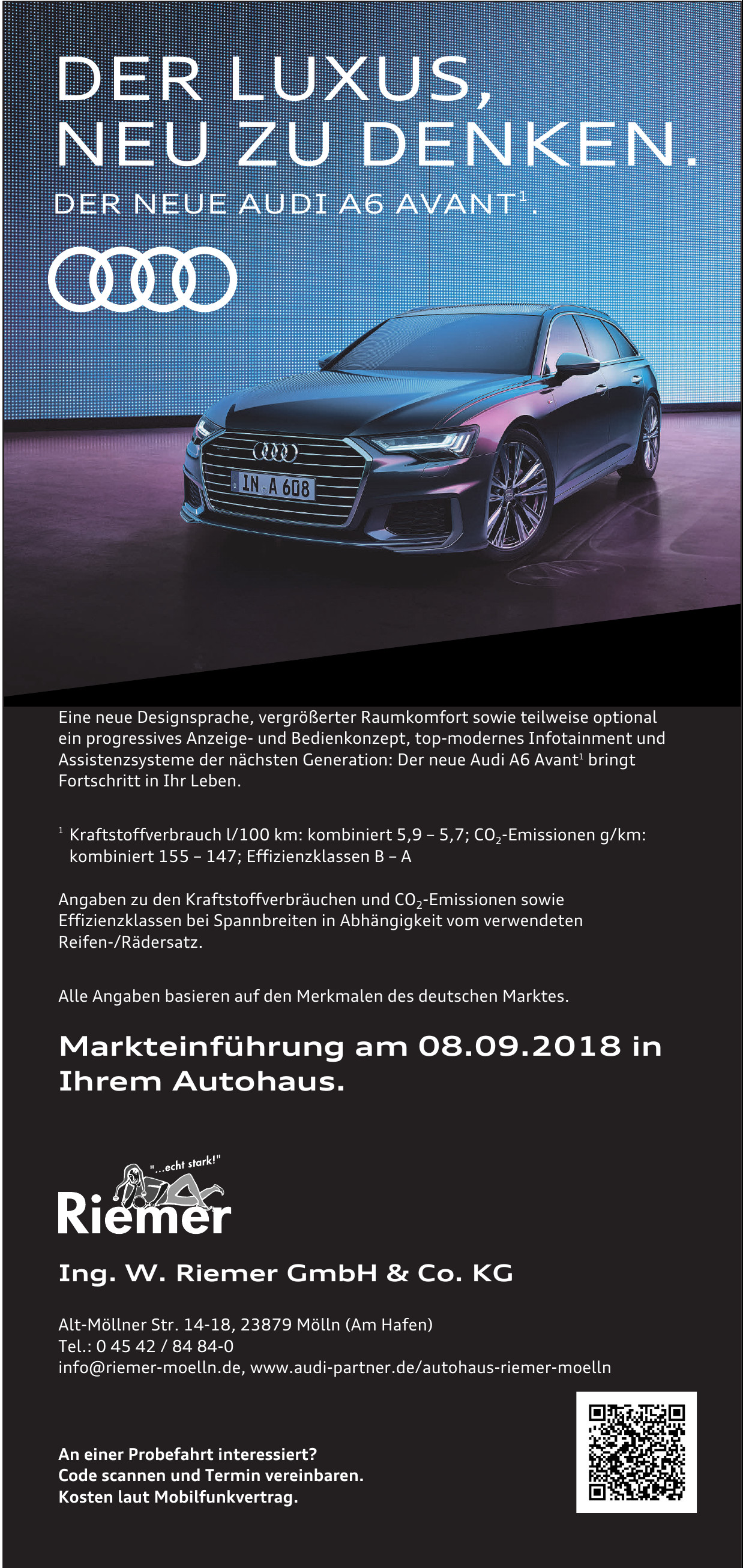 Ing. W. Riemer GmbH & Co. KG